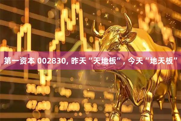 第一资本 002830, 昨天“天地板”, 今天“地天板”