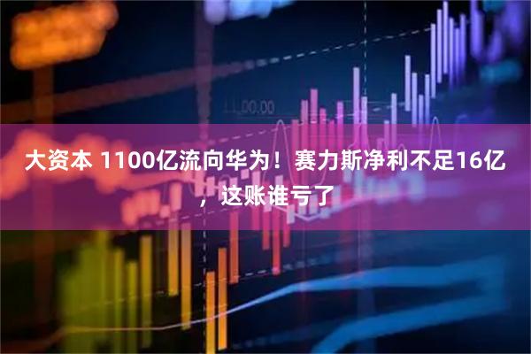 大资本 1100亿流向华为！赛力斯净利不足16亿，这账谁亏了